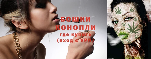 крисы Зеленодольск