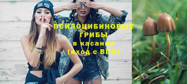 крисы Зеленодольск